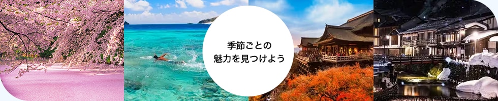 季節ごとの魅力を見つけよう