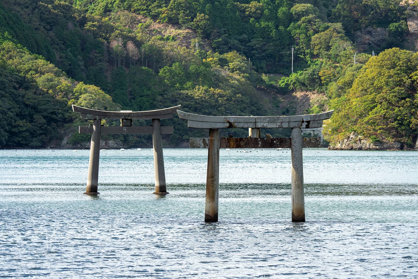 (photo) Tsushima: Schiffstour in der Bucht von Aso 6