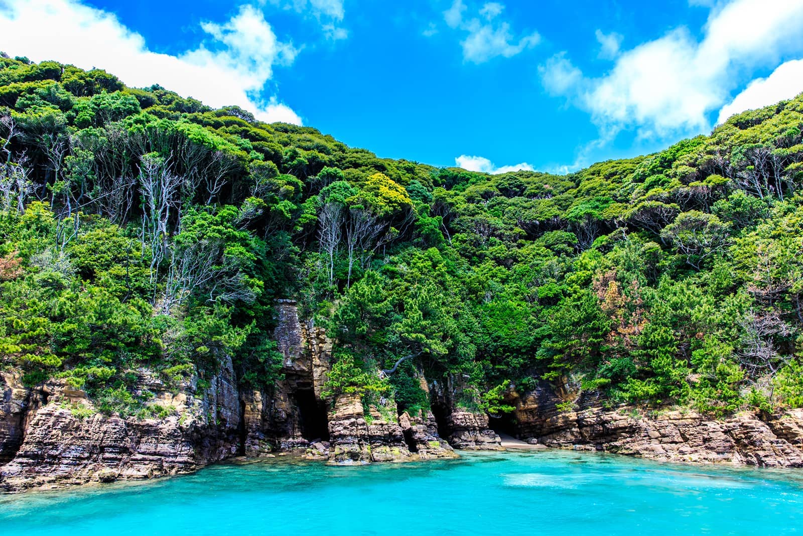 (photo) Iki: Insel Tatsunoshima 6