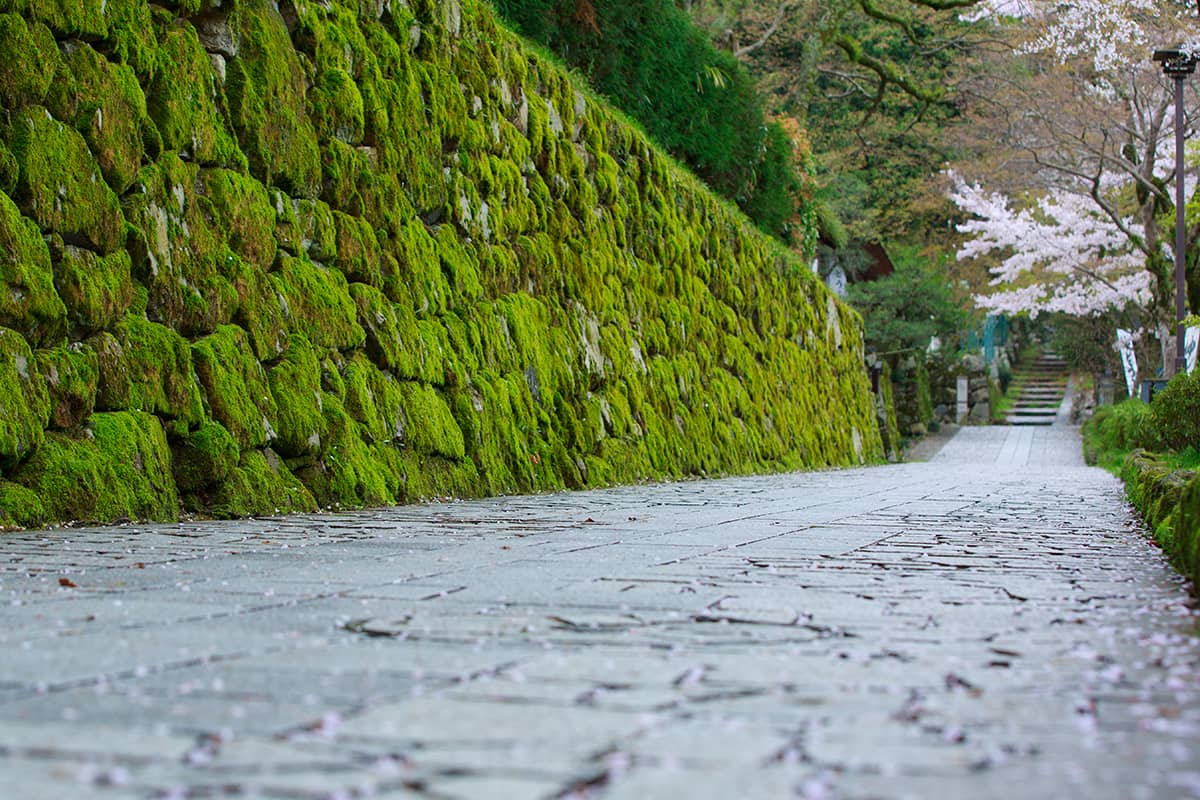 (写真) 旧竹林院 6