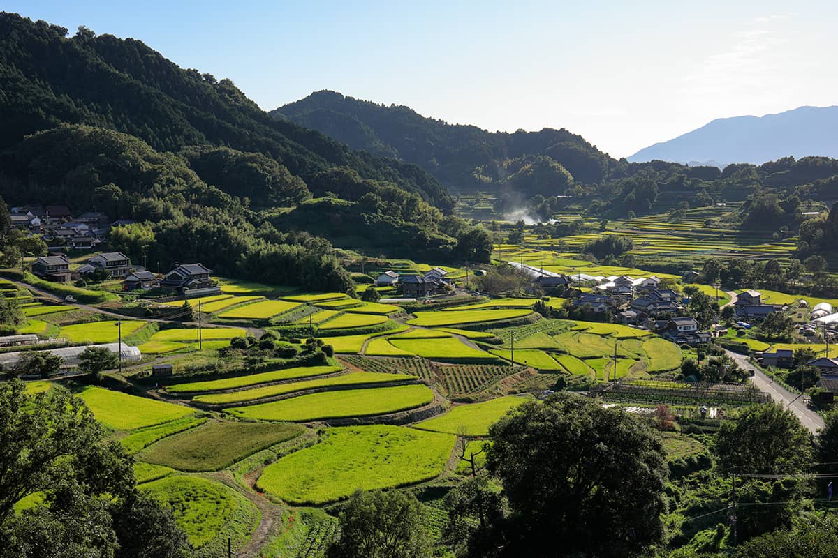 (写真) 明日香村										 1