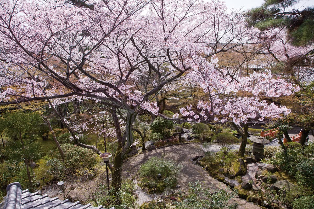 (写真) 百楽荘 4
