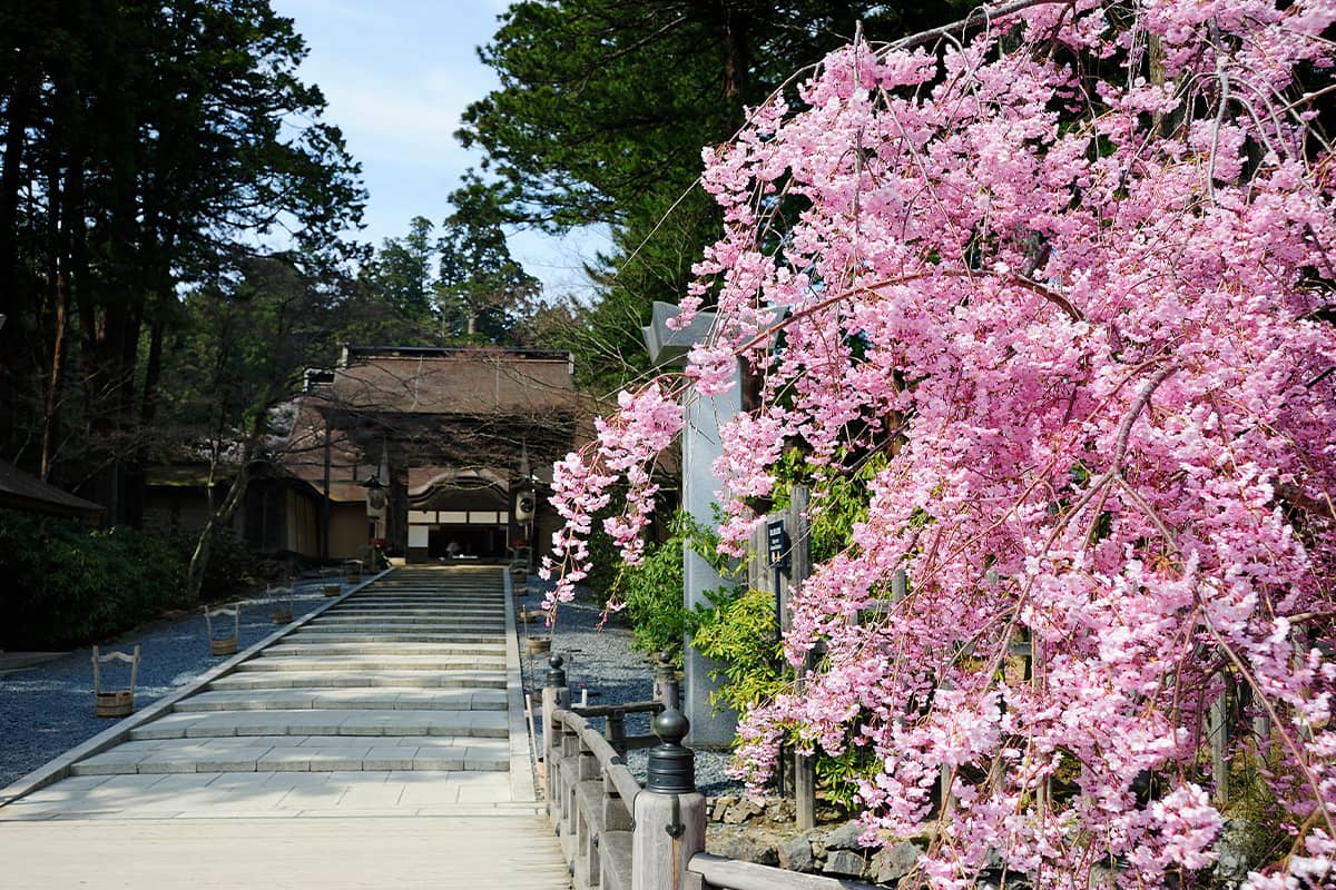 (写真) 金剛峯寺 5