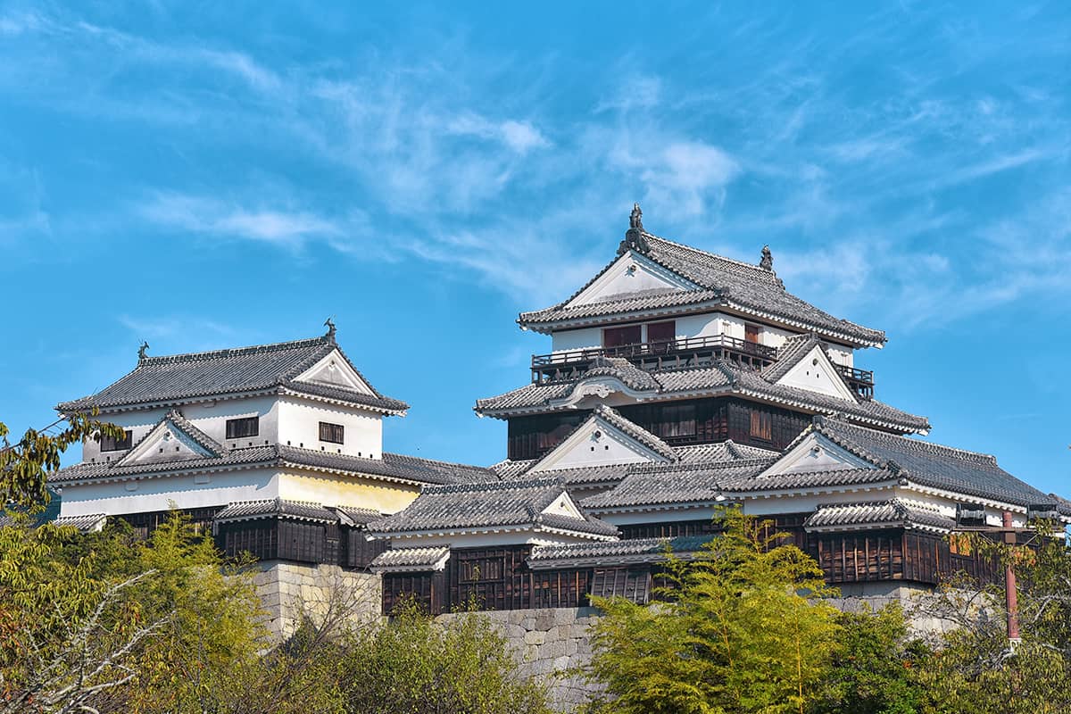 (photo) Matsuyama Castle 1