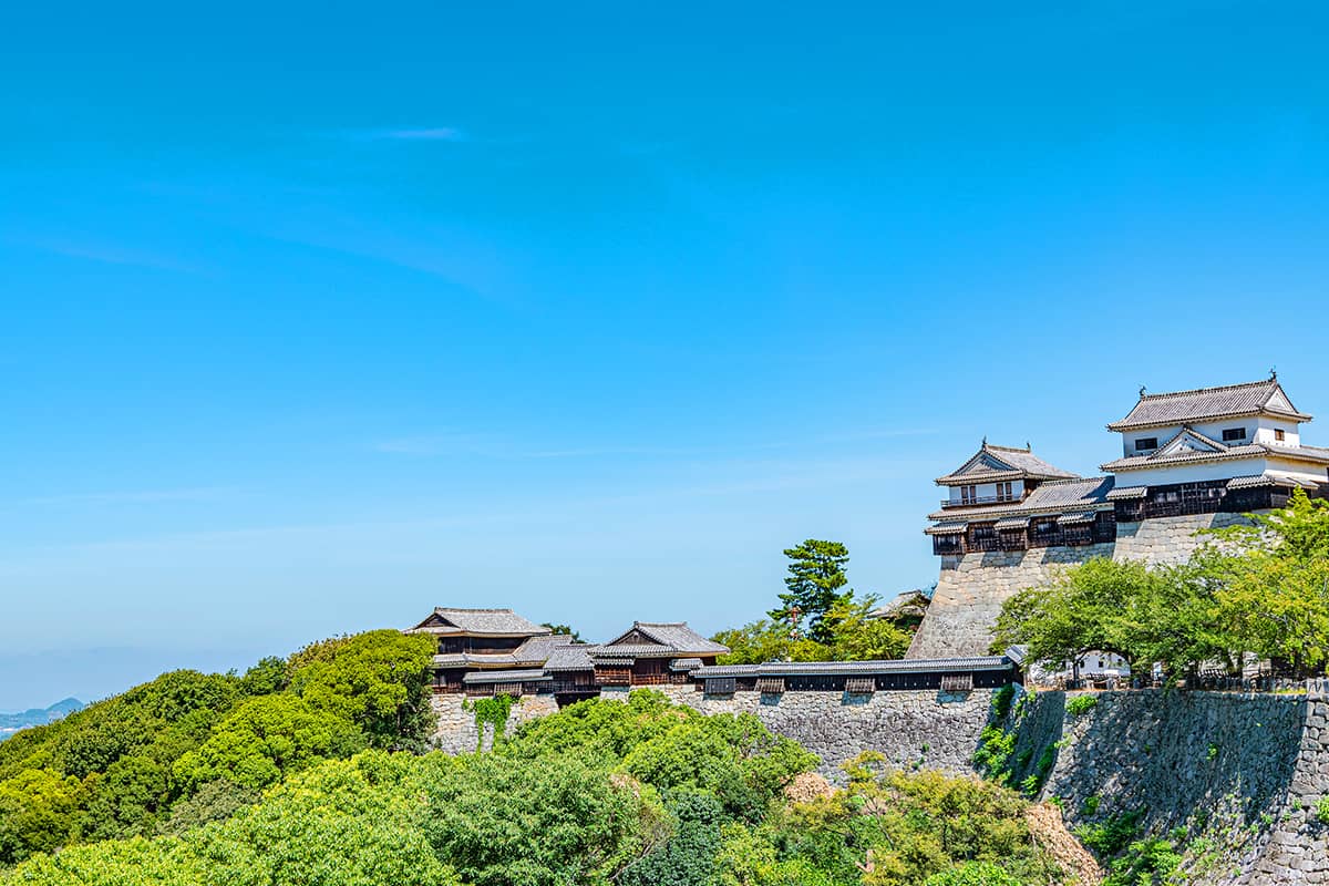 (photo) Matsuyama Castle 5