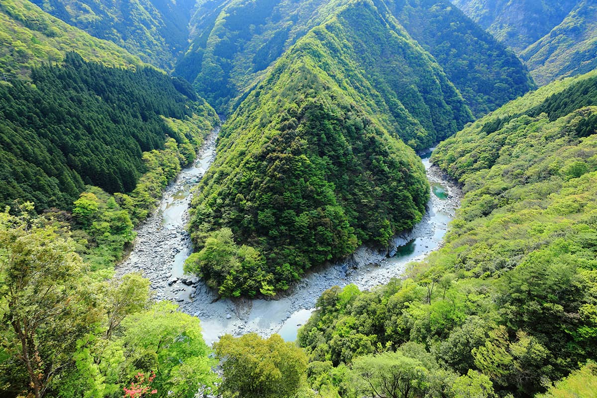 (photo) Iya Valley and Iyanokazura Bridge 1