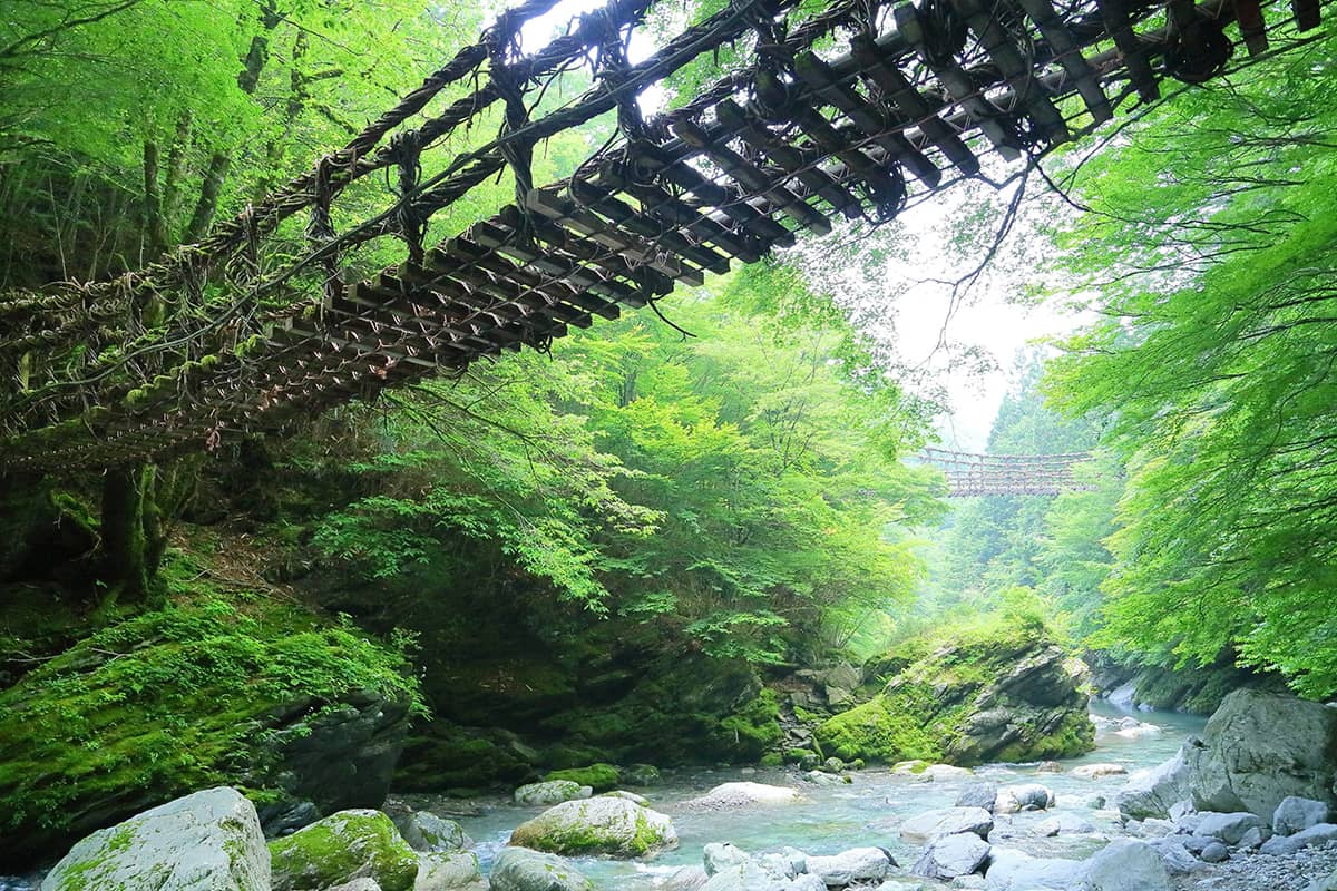 (photo) Iya Valley and Iyanokazura Bridge 3