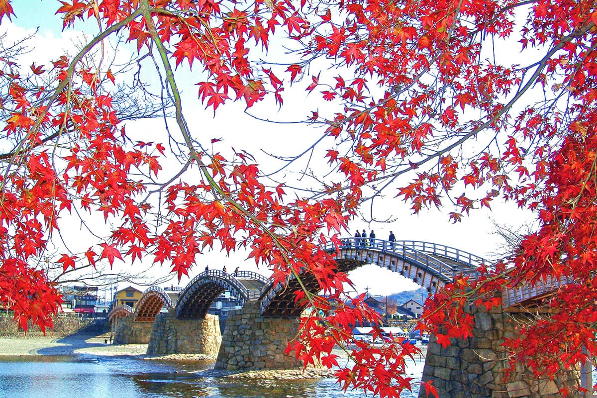 (写真) 錦帯橋 3