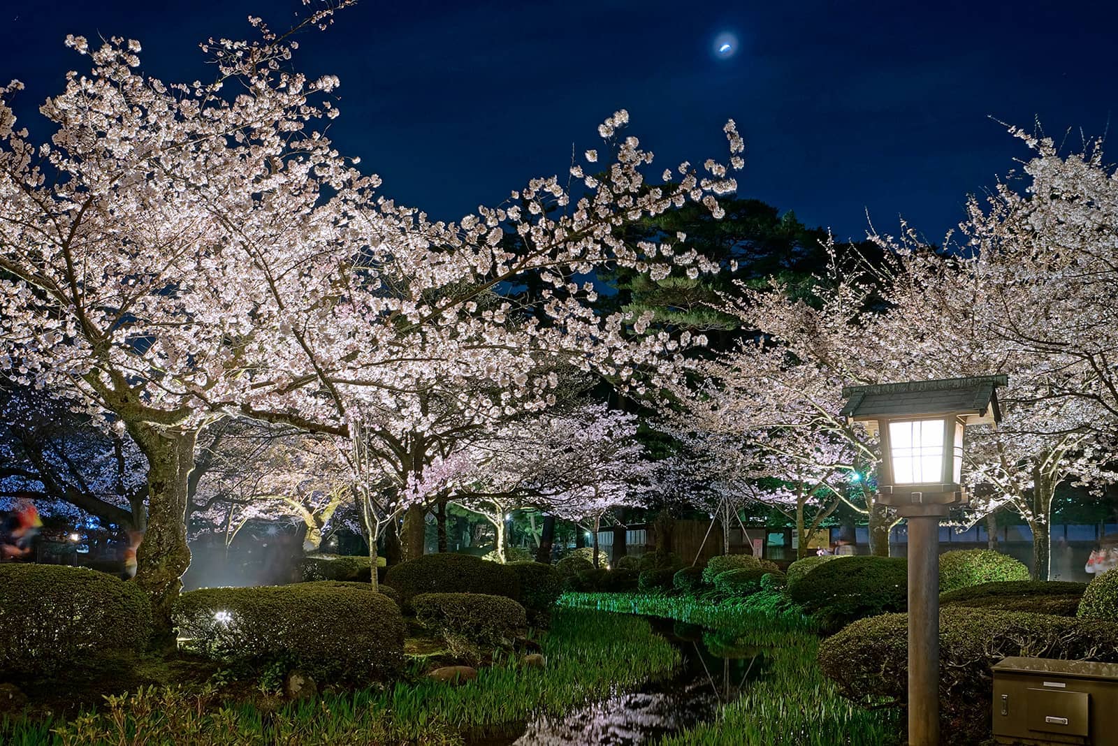 (写真) 兼六園 6