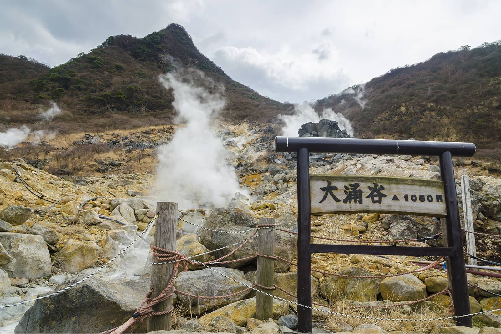 (写真) 大涌谷 1