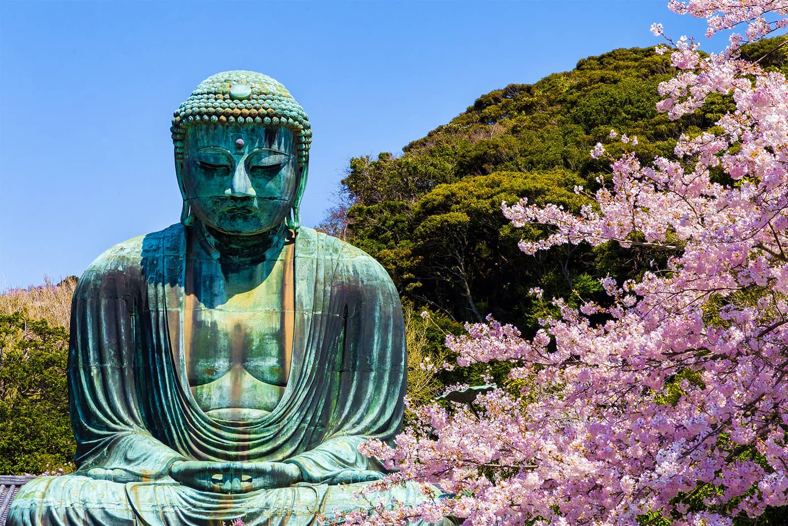 (写真) 鎌倉 1