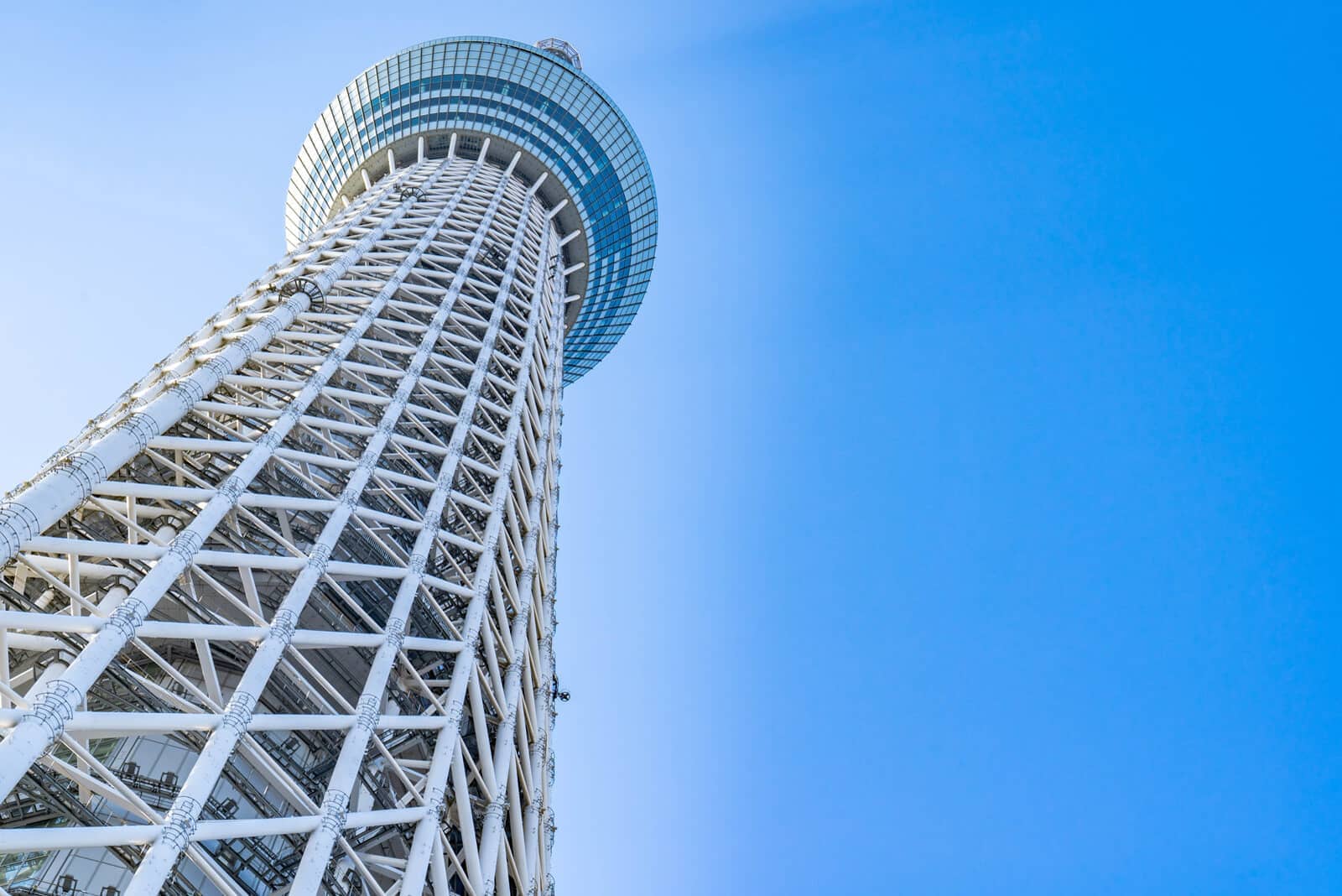 (写真) 東京スカイツリー 5