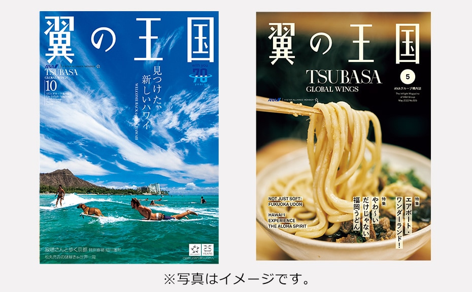 翼の王国