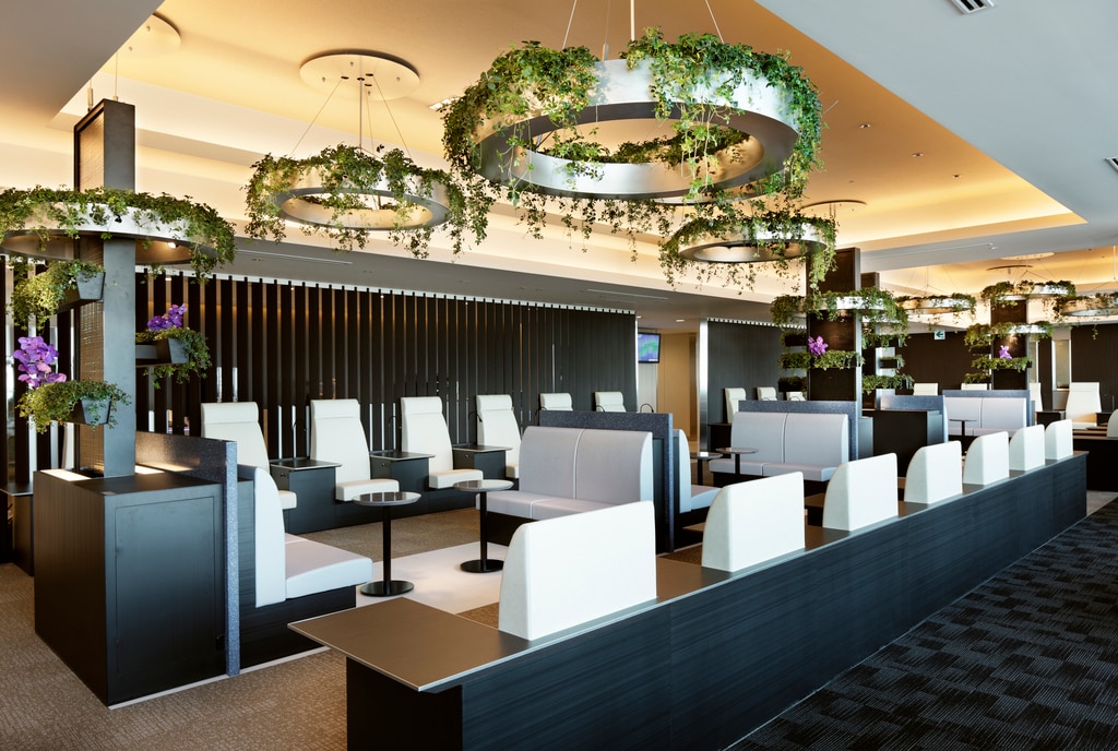 Image for Japan Domestic Flights