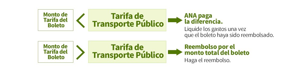 En caso de que la tarifa del boleto de vuelo sea inferior a la tarifa establecida por la autoridad normativa de transporte público, ANA asumirá la diferencia.