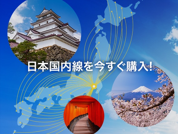 日本国内線を今すぐ購入！