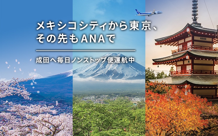 メキシコシティから東京、その先もANAで　～成田へ毎日ノンストップ便運航中～