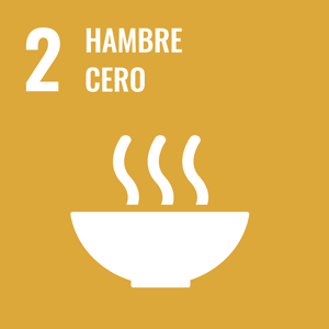 SDGs Objetivo 2 HAMBRE CERO