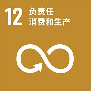 SDGs No.12 负责任消费和生产
