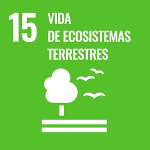 SDGs Objetivo 15 VIDA DE ECOSISTEMAS TERRESTRES