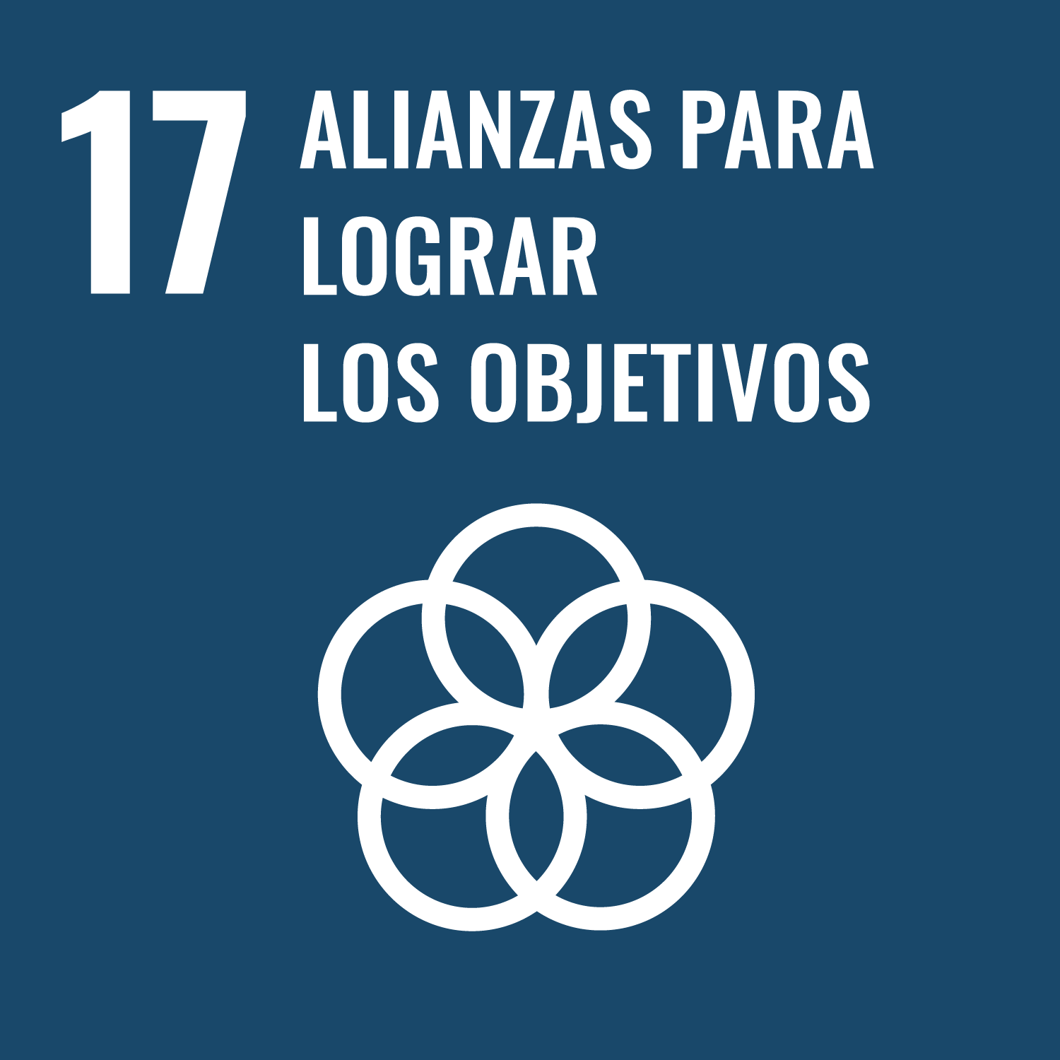 SDGs Objetivo 17 ASOCIACIONES PARA LOS OBJETIVOS