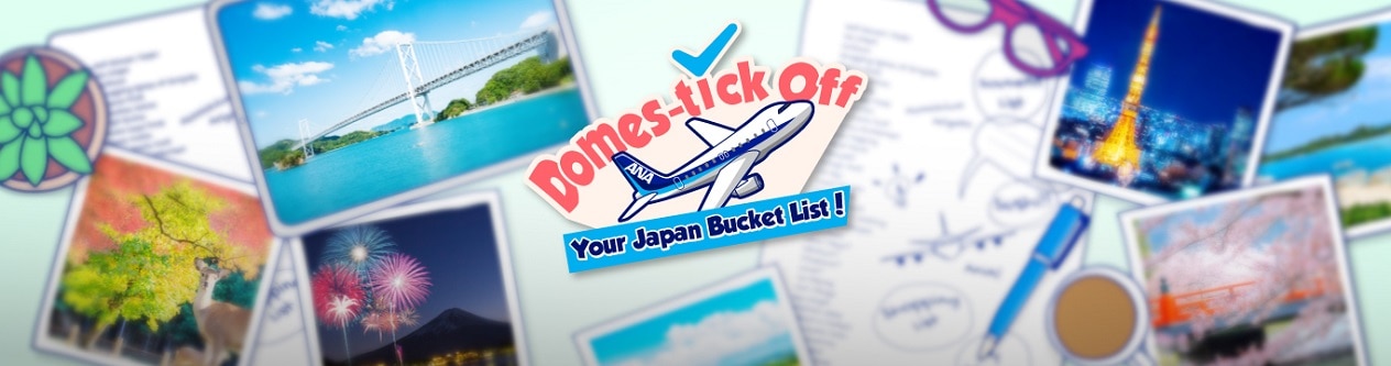 Domes-tick Off Your Japan Bucket List!