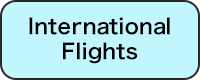 International Flights