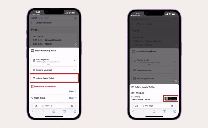 Online check-in screen