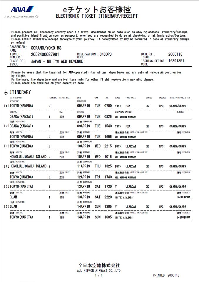 Sample e-ticket itinerary receipt
