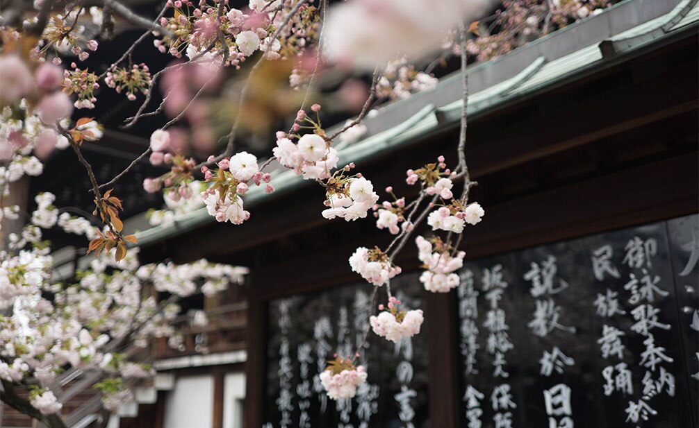a photo of Osaka