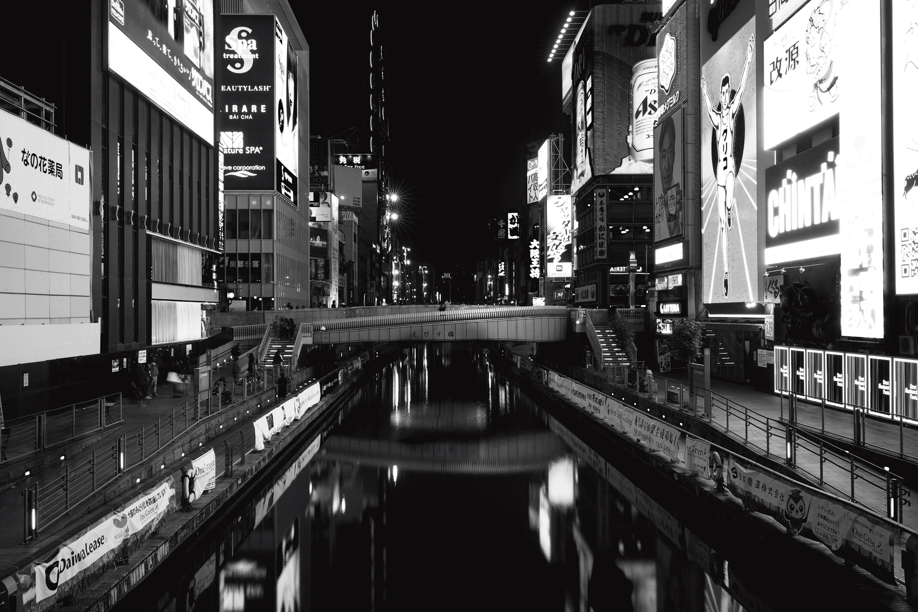 a landscape of Osaka