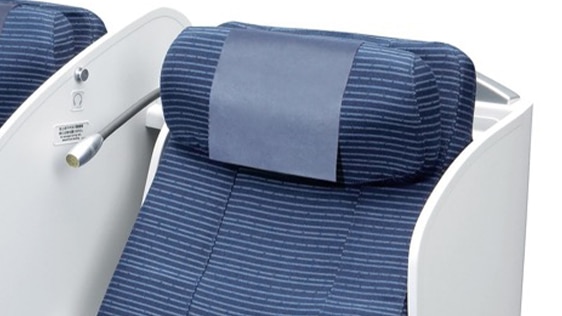 Photo of Headrest of B787-8 (240-seat) Business Class seats