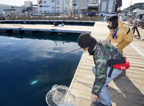 海上釣り堀で誰かに青ものが掛かると、「青（もの）で～す！」という声がスタッフから掛かります。