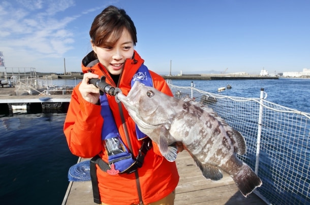 「たしかに口が硬そう。体はヌルヌルしていますね～」と山田CA。ついに手にしたのは50cmほどのマハタ。
