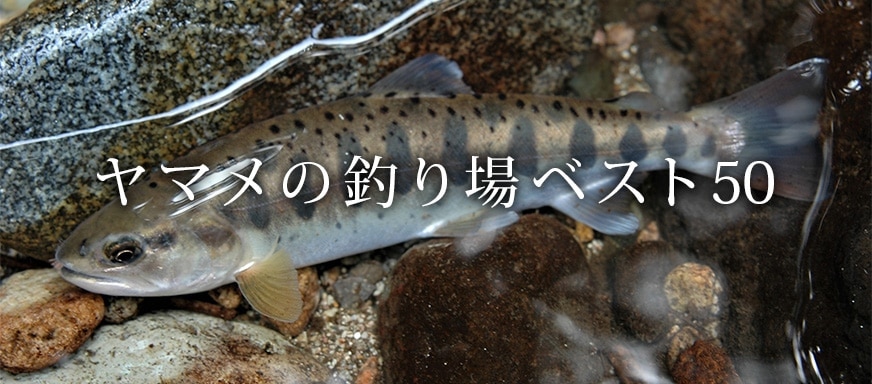 ヤマメの釣り場ベスト50