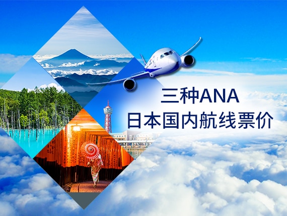 三种ANA日本国内航线票价